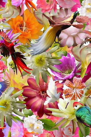 动物印花华亿平台图片