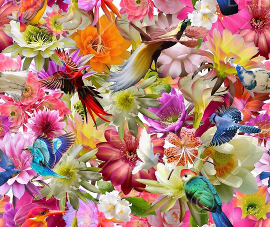 动物印花华亿平台图片