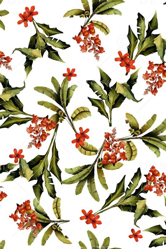 观叶植物印花华亿平台图片