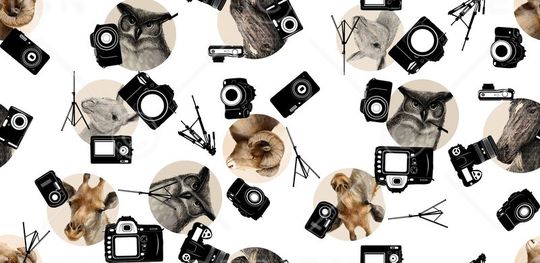 休闲印花华亿平台图片