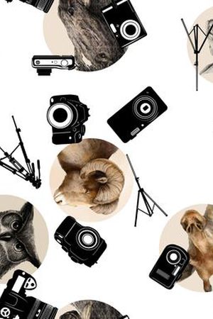 休闲印花华亿平台图片