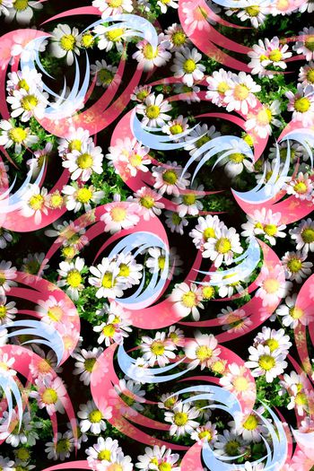 407906-抽象 几何 花卉  