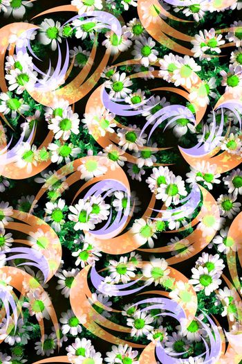 407908-抽象 几何 花卉  