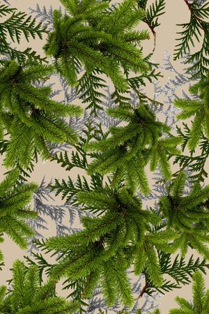 创意印花华亿平台图片