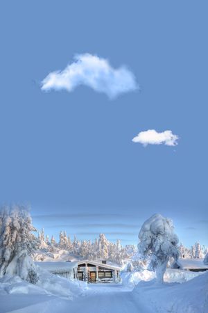 时尚印花华亿平台图片