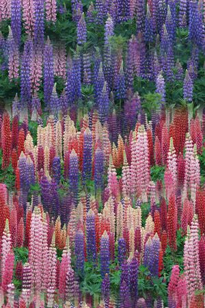 照片印花华亿平台图片