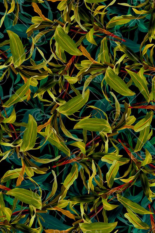 叶子植物印花华亿平台图片