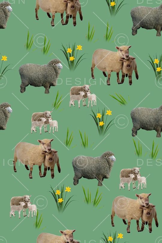 动物世界印花华亿平台图片