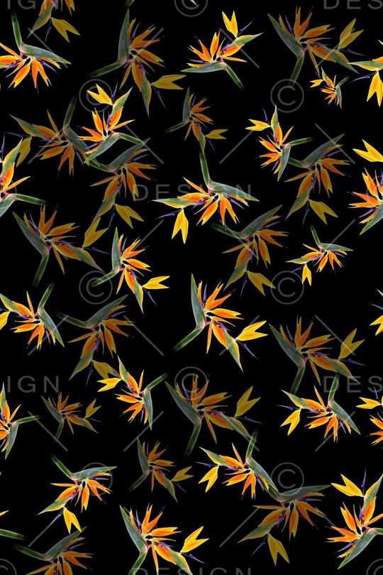 黑底数码植物印花华亿平台图片