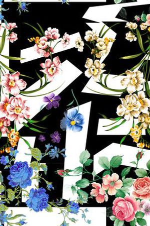 热带雨林印花华亿平台图片