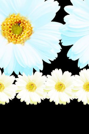 花印花华亿平台图片