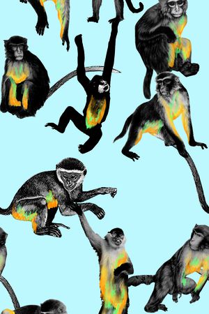 群猴印花华亿平台图片