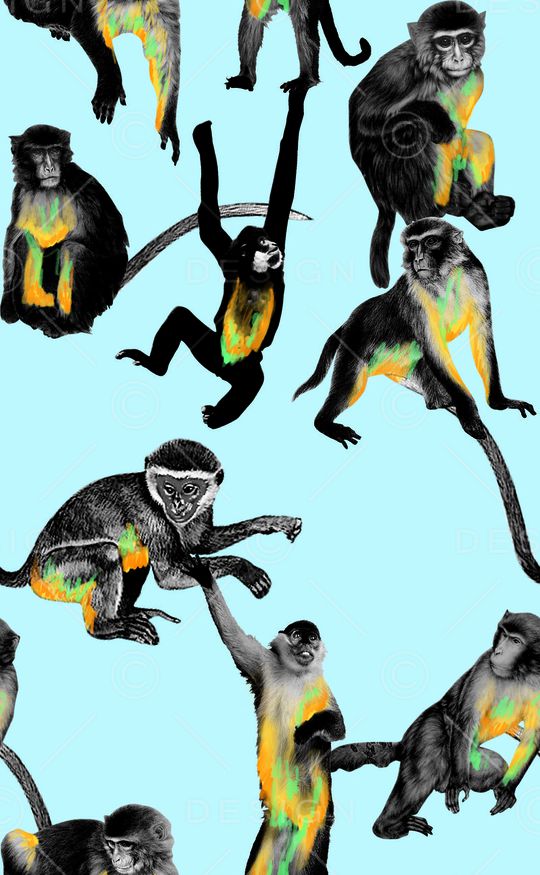 群猴印花华亿平台图片