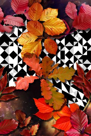 服装印花华亿平台图片