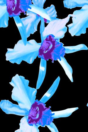 紫兰花印花华亿平台图片