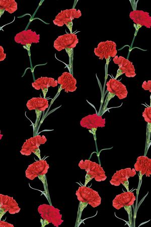 康乃馨 花印花华亿平台图片