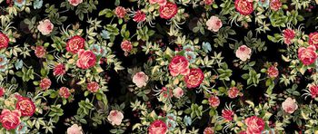 408891-西欧宫廷式唯美印花