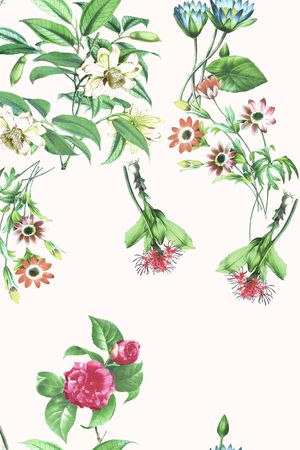 花枝印花华亿平台图片