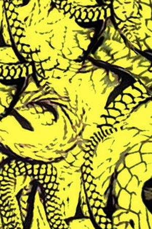 蛇印花华亿平台图片