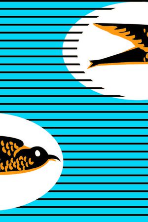 燕子印花华亿平台图片