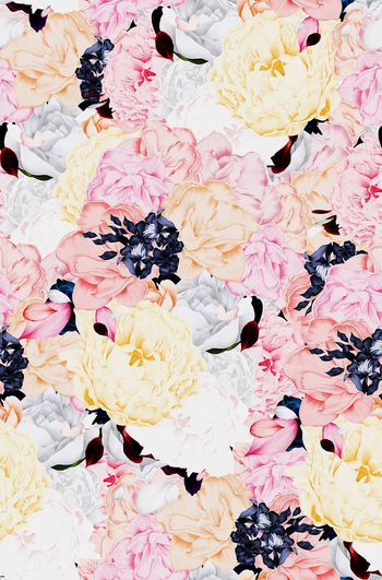 408963-雅致牡丹花