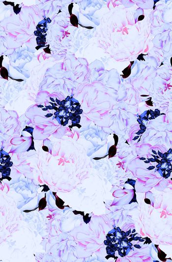 408964-雅致牡丹花