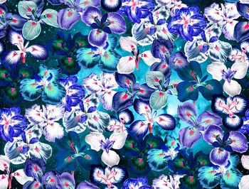 408987-幻影紫罗兰