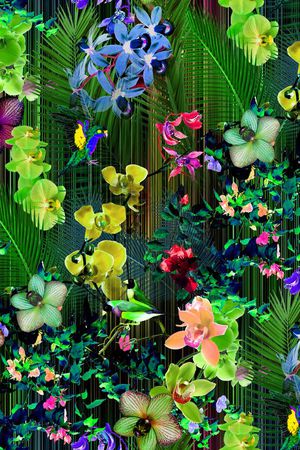 热带雨林印花华亿平台图片