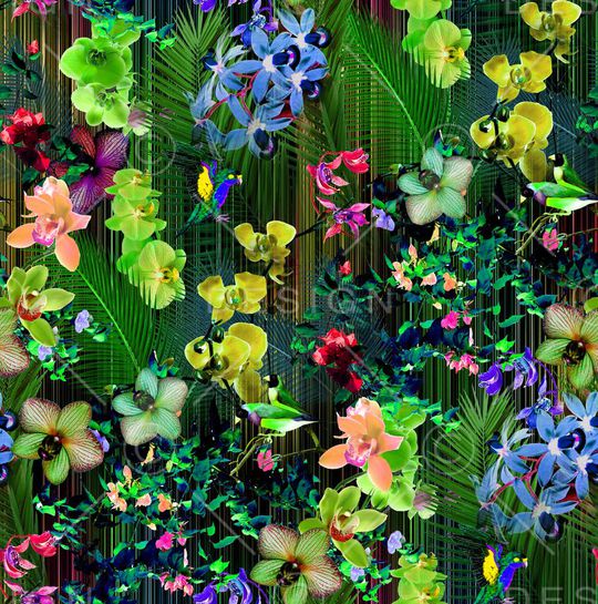 热带雨林印花华亿平台图片