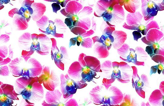 清新印花华亿平台图片