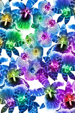 虎纹 梦幻印花华亿平台图片