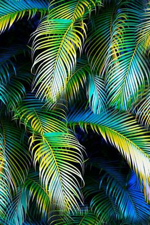 热带印花华亿平台图片