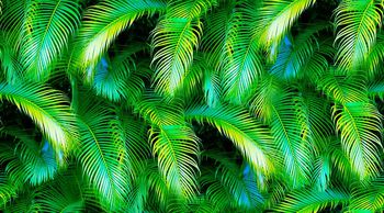 409042-热带棕榈叶