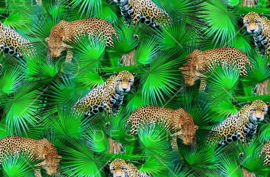 写实 雨林印花华亿平台图片