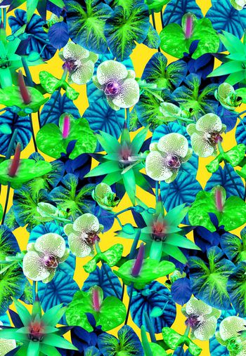 409049-热带植物花丛