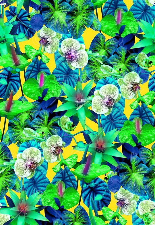 数码 写实 梦幻印花华亿平台图片