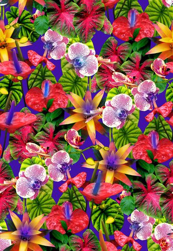 409050-热带植物花丛