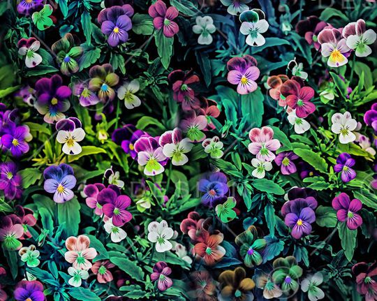 魔幻 数码印花华亿平台图片