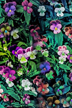 魔幻 数码印花华亿平台图片