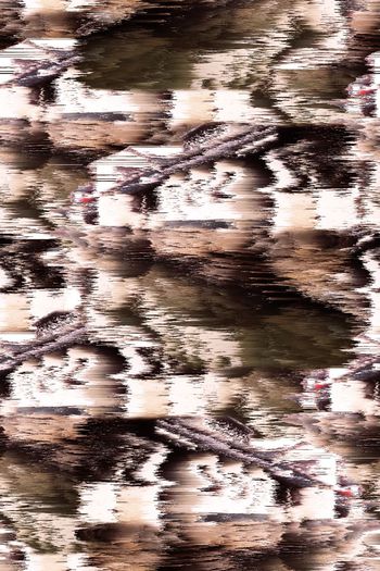 409061- 抽象效果