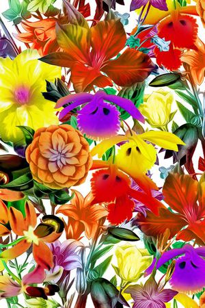 数码 艳丽印花华亿平台图片