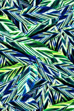 迷彩 雨林印花华亿平台图片