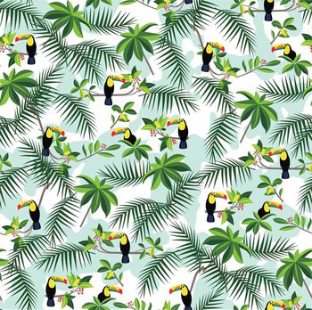 409096-热带雨林大嘴鸟 含双设计方案（源文