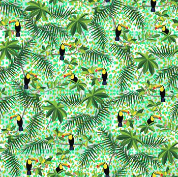 409097-热带雨林大嘴鸟 含双设计方案（源文