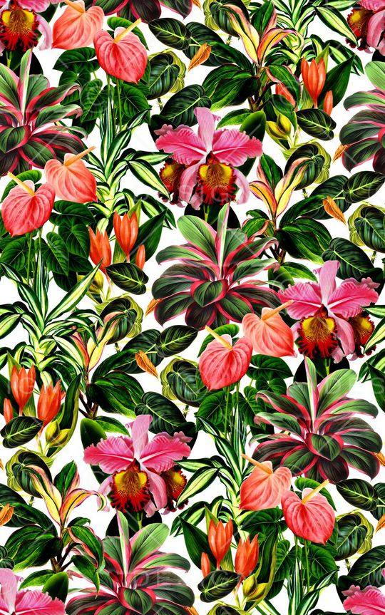 数码 写实 雨林印花华亿平台图片