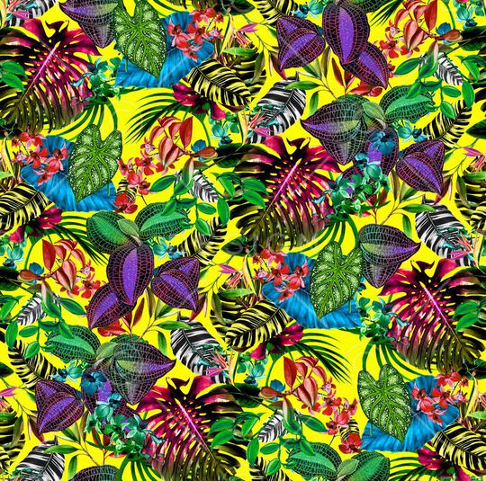 数码 热带印花华亿平台图片