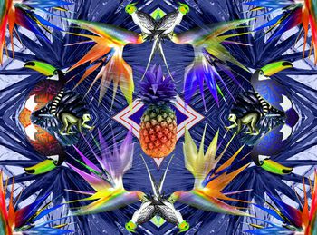 409115-万兽镜像花园