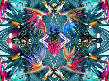 409116-万兽镜像花园