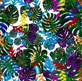 409198-迷彩龟背竹