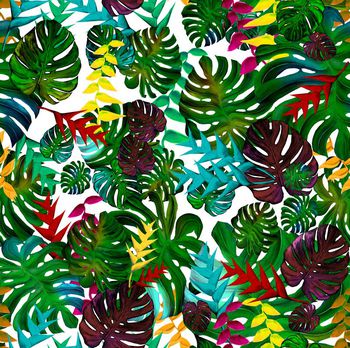 409199-迷彩龟背竹